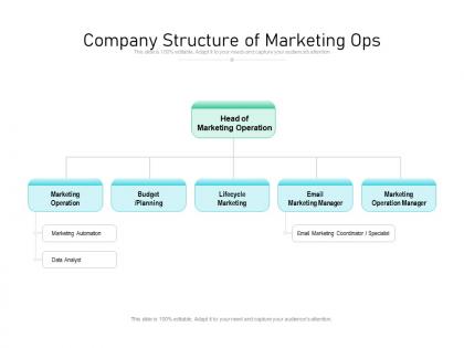 Company structure of marketing ops