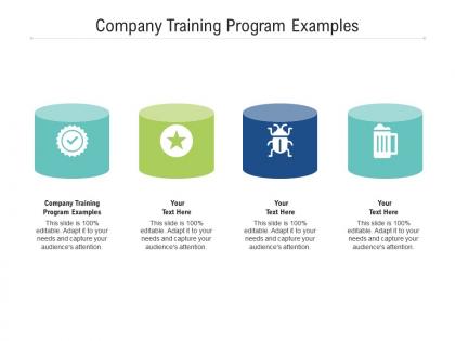 Company training program examples ppt powerpoint presentation outline graphics pictures cpb