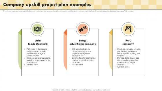 Company Upskill Project Plan Examples