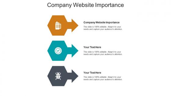 Company website importance ppt powerpoint presentation gallery template