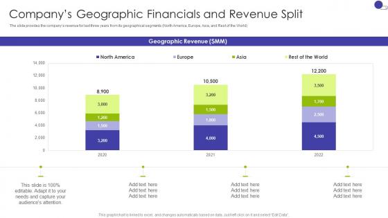 Companys Geographic Financials And Revenue Key Business Details Of A Technology Company