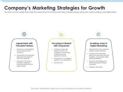 Companys marketing strategies for growth investment pitch to raise funds from mezzanine debt ppt slides
