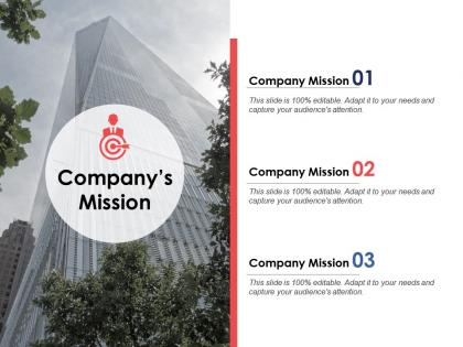 Companys mission business management ppt powerpoint presentation styles shapes