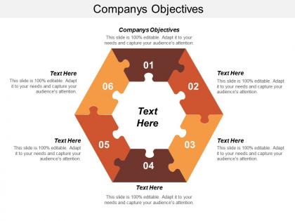 Companys objectives ppt powerpoint presentation inspiration infographics cpb