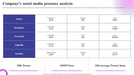 Companys Social Media Presence Analysis