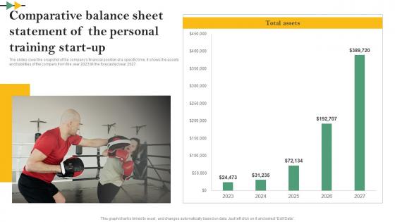Comparative Balance Sheet Statement Of The Personal Online Personal Training Business Plan BP SS