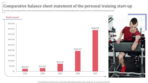 Comparative Balance Sheet Statement Of The Personal Training Group Fitness Training Business Plan BP SS