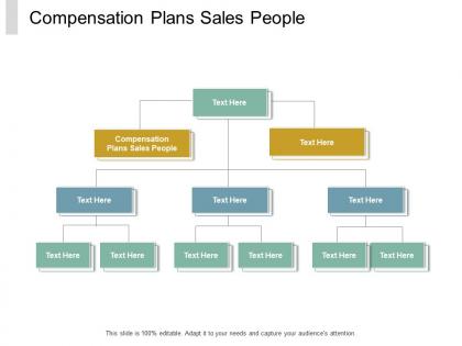 Compensation plans sales people ppt powerpoint presentation styles graphics design cpb