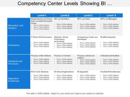 Competency center levels showing bi performance stages
