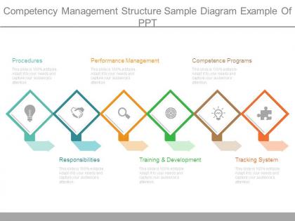 Competency management structure sample diagram example of ppt