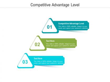Competitive advantage level ppt powerpoint presentation model clipart images cpb