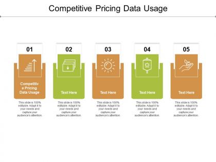 Competitive pricing data usage ppt powerpoint presentation file template cpb