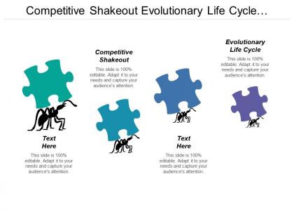 Competitive shakeout evolutionary life cycle business design team