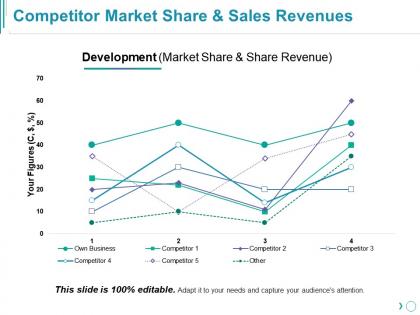 Competitor market share and sales revenues presentation slides