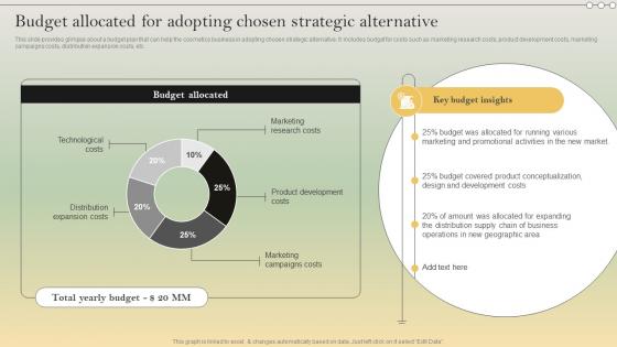 Complete Strategic Analysis Budget Allocated For Adopting Chosen Strategic Alternative Strategy SS V