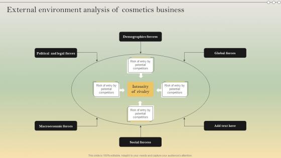 Complete Strategic Analysis External Environment Analysis Of Cosmetics Business Strategy SS V