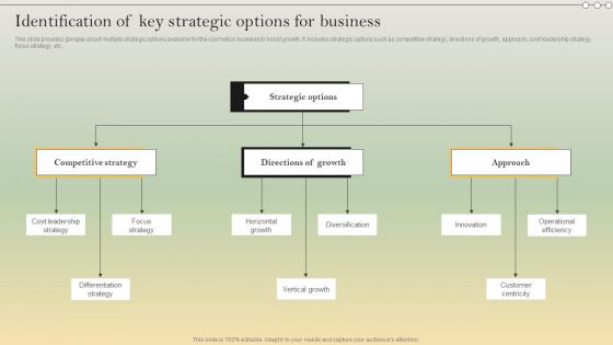 Complete Strategic Analysis Identification Of Key Strategic Options For Business Strategy SS V