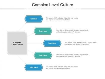 Complex level culture ppt powerpoint presentation summary cpb