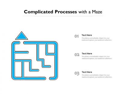 Complicated processes with a maze
