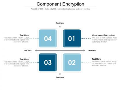 Component encryption ppt powerpoint presentation portfolio infographic template cpb