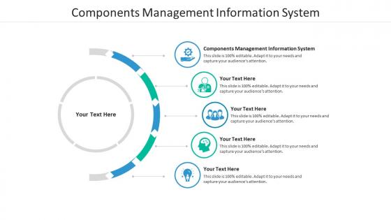Components management information system ppt powerpoint presentation slides microsoft cpb