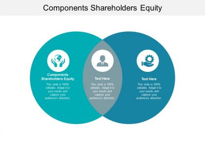 Components shareholders equity ppt powerpoint presentation show mockup cpb