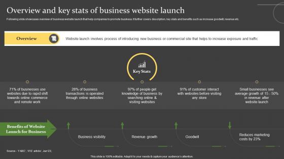 Comprehensive Guide For Successful Overview And Key Stats Of Business Website Launch