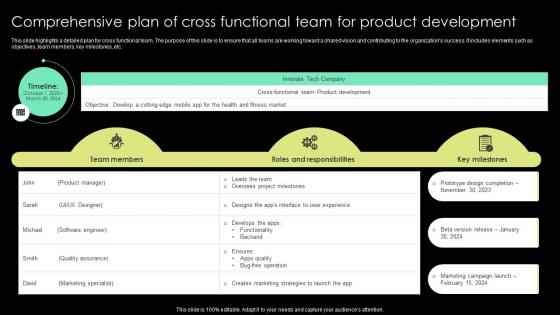 Comprehensive Plan Of Cross Functional Team For Product Development