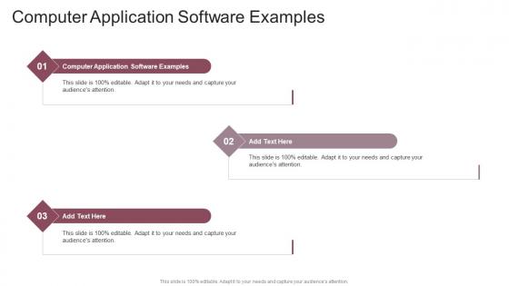 Computer Application Software Examples In Powerpoint And Google Slides Cpb