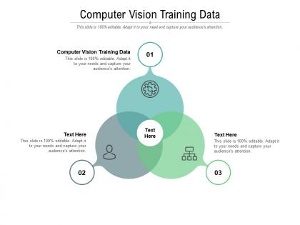 Computer vision training data ppt powerpoint presentation file icons cpb