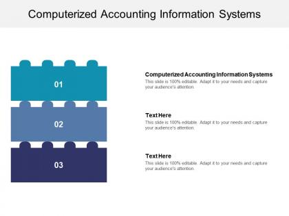 Computerized accounting information systems ppt powerpoint presentation portfolio visual aids cpb