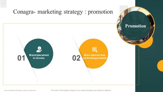 Conagra Marketing Strategy Promotion Convenience Food Industry Report Ppt Summary