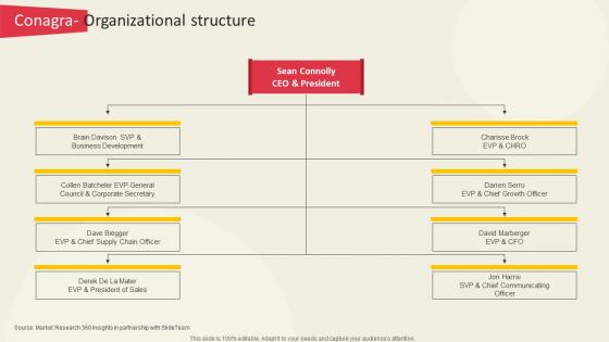 Conagra Organizational Structure Global Ready To Eat Food Market Part 2