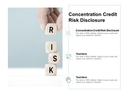 Concentration credit risk disclosure ppt powerpoint presentation summary example cpb
