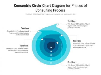 Concentric circle chart diagram for phases of consulting process infographic template