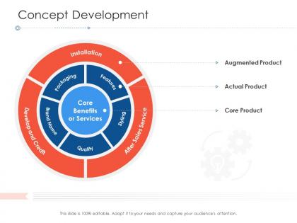 Concept development project strategy process scope and schedule ppt images