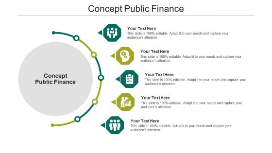Concept public finance ppt powerpoint presentation professional outfit cpb