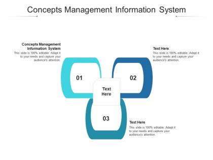 Concepts management information system ppt powerpoint presentation professional mockup cpb