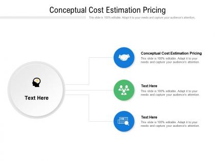 Conceptual cost estimation pricing ppt powerpoint presentation file templates cpb