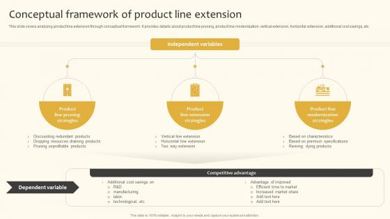 Conceptual Framework Of Product Line Extension Implementing Product And Market Development Strategy SS