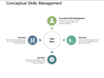 Conceptual skills management ppt powerpoint presentation portfolio influencers cpb