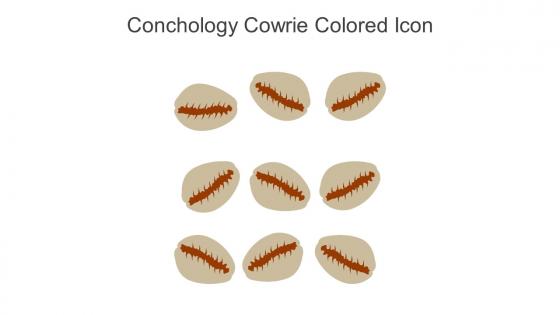 Conchology Cowrie Colored Icon In Powerpoint Pptx Png And Editable Eps Format