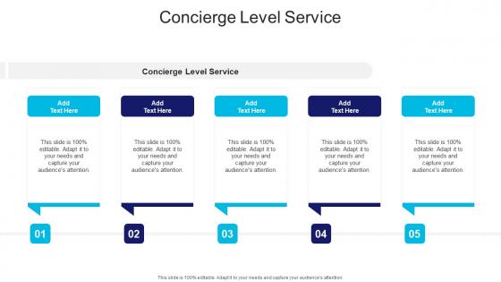 Concierge Level Service In Powerpoint And Google Slides Cpb