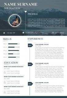 Concise and aesthetically pleasing cv template