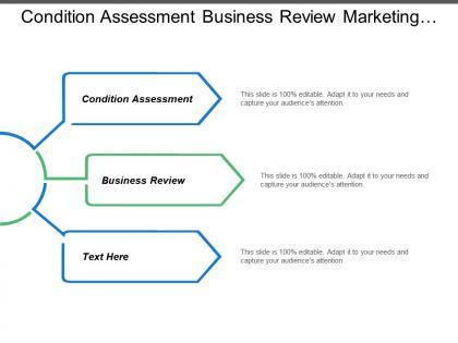 Condition assessment business review marketing background company scope swot