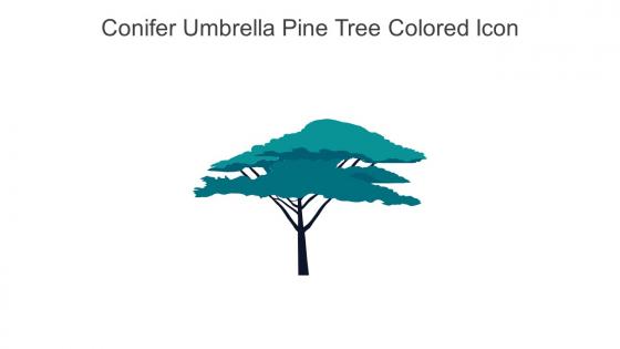Conifer Umbrella Pine Tree Colored Icon In Powerpoint Pptx Png And Editable Eps Format