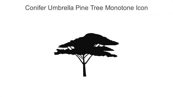 Conifer Umbrella Pine Tree Monotone Icon In Powerpoint Pptx Png And Editable Eps Format