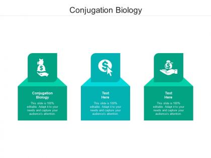 Conjugation biology ppt powerpoint presentation model structure cpb