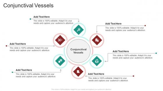 Conjunctival Vessels In Powerpoint And Google Slides Cpb