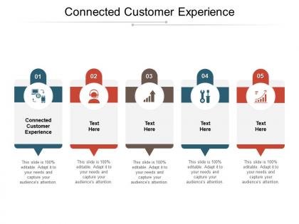 Connected customer experience ppt powerpoint presentation portfolio designs download cpb